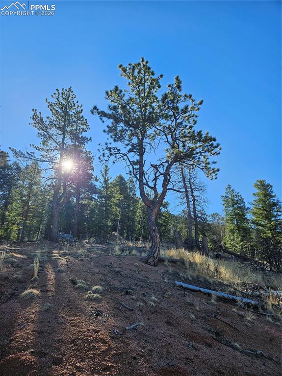 652 Derby Drive Cripple Creek CO 80813