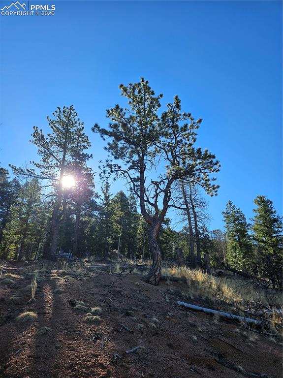 652 Derby Drive Cripple Creek CO 80813