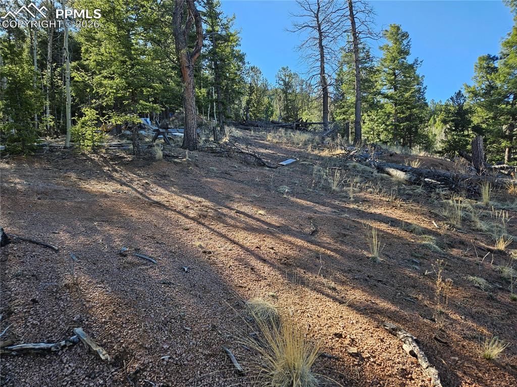 652 Derby Drive Cripple Creek CO 80813