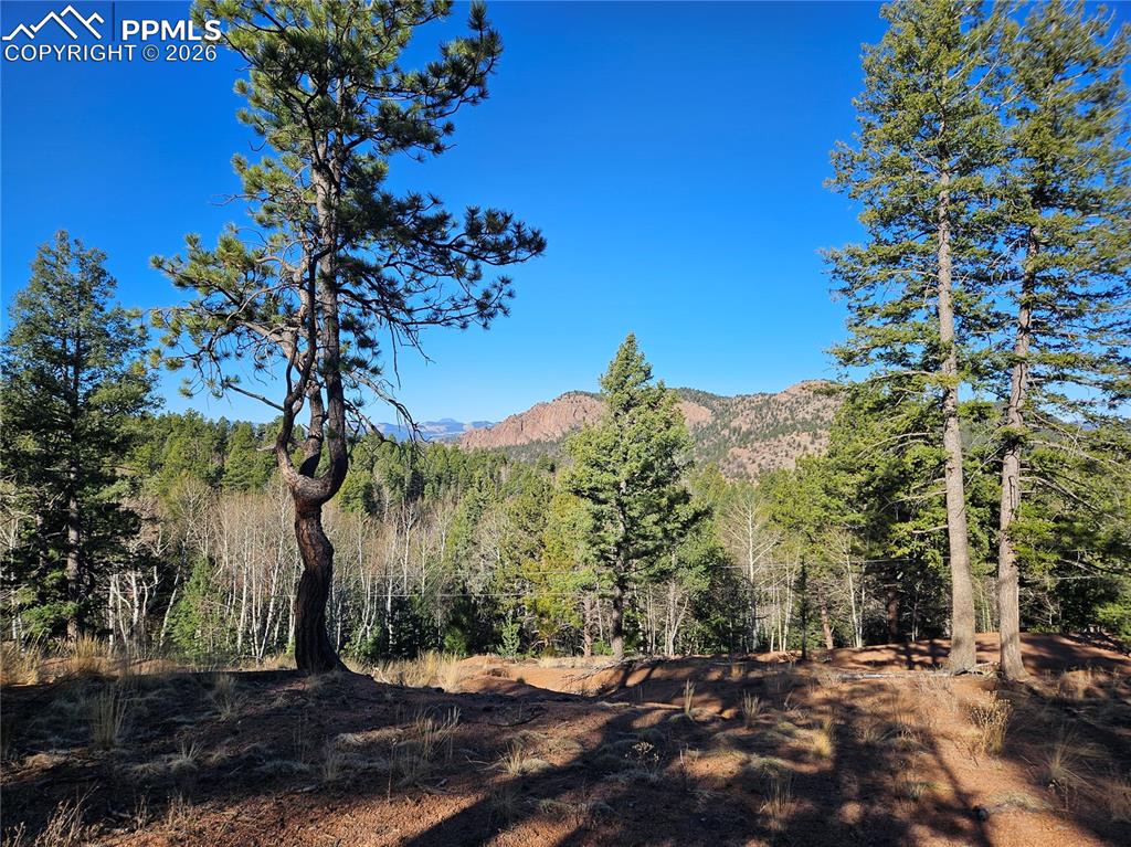 652 Derby Drive Cripple Creek CO 80813