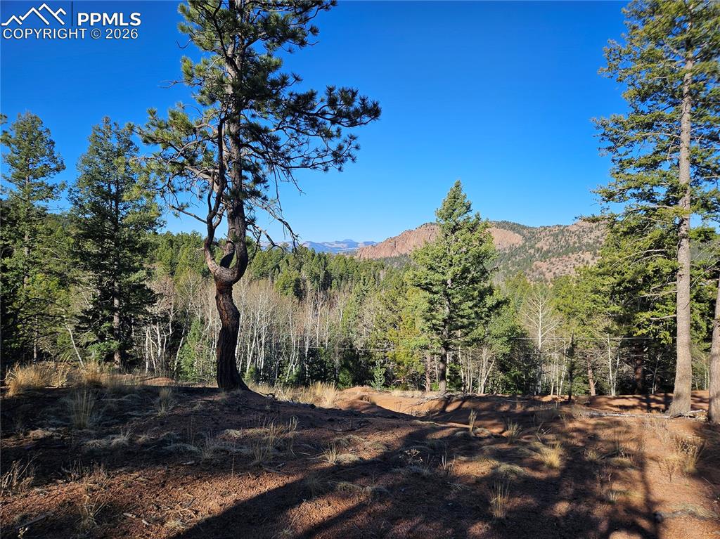 652 Derby Drive Cripple Creek CO 80813