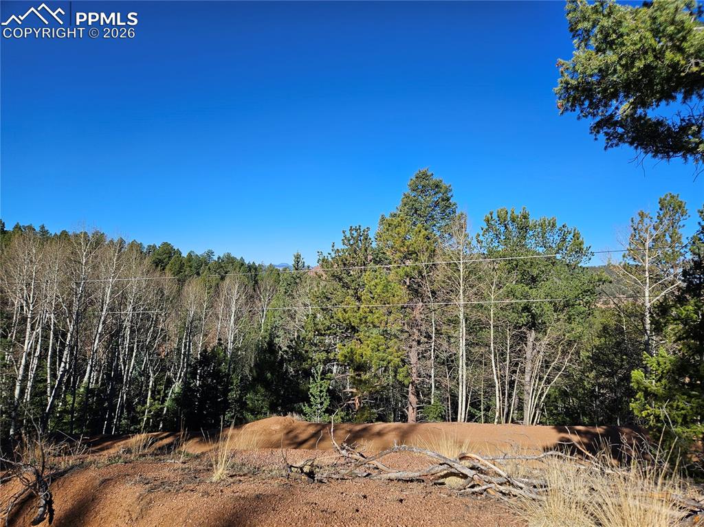 652 Derby Drive Cripple Creek CO 80813