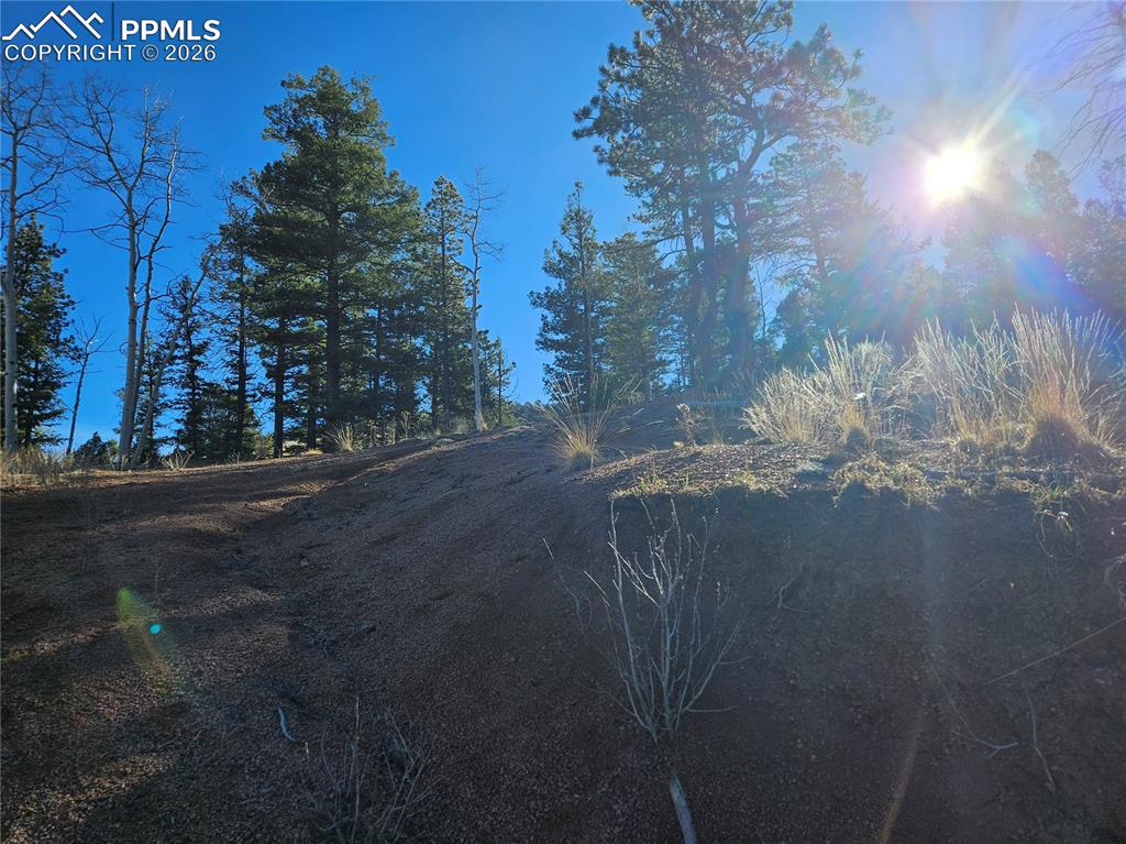 652 Derby Drive Cripple Creek CO 80813