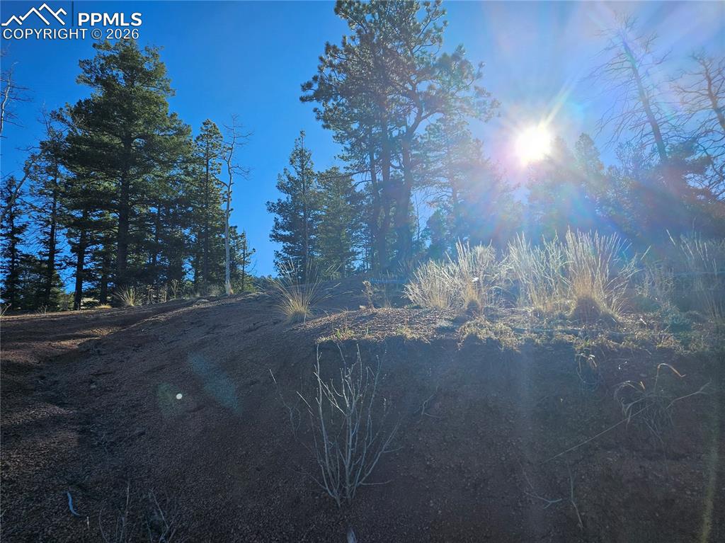 652 Derby Drive Cripple Creek CO 80813