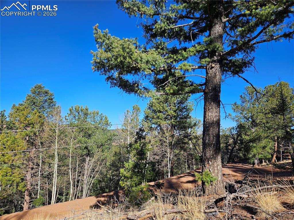 652 Derby Drive Cripple Creek CO 80813