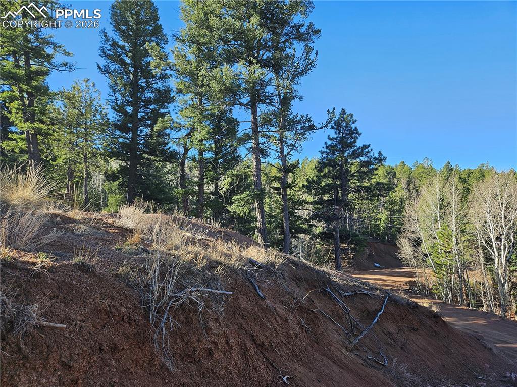 652 Derby Drive Cripple Creek CO 80813