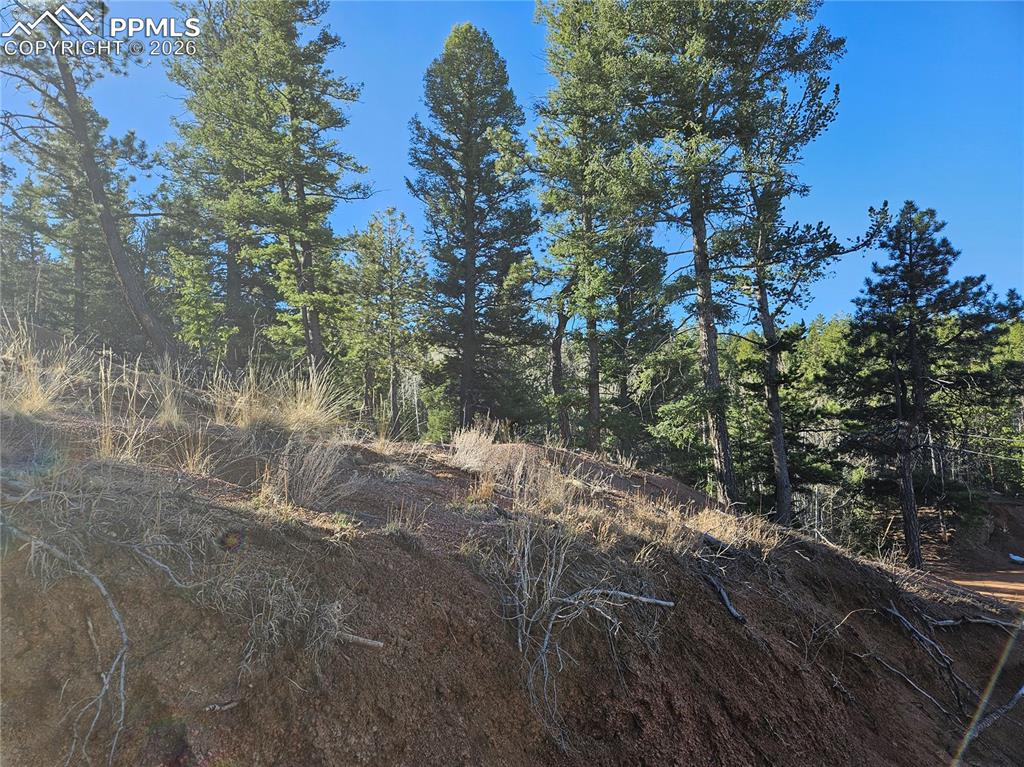 652 Derby Drive Cripple Creek CO 80813