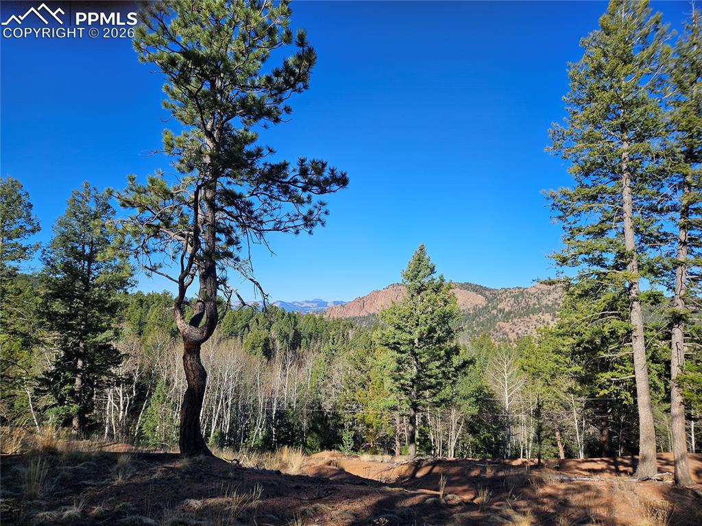 652 Derby Drive Cripple Creek CO 80813