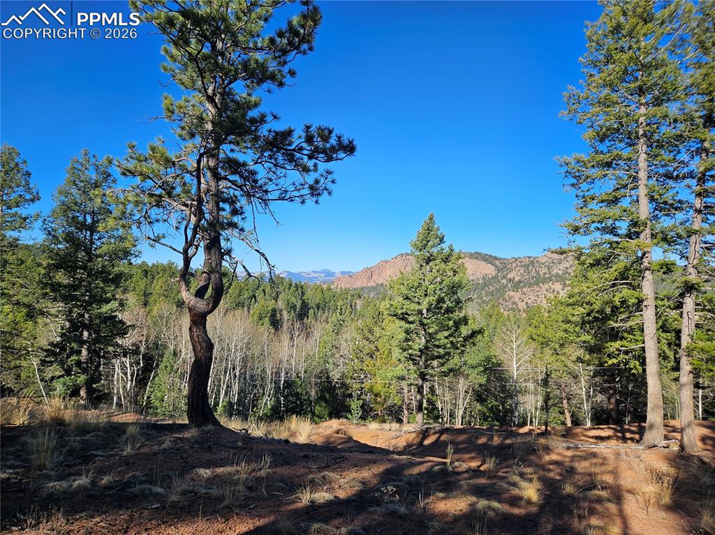 652 Derby Drive Cripple Creek CO 80813