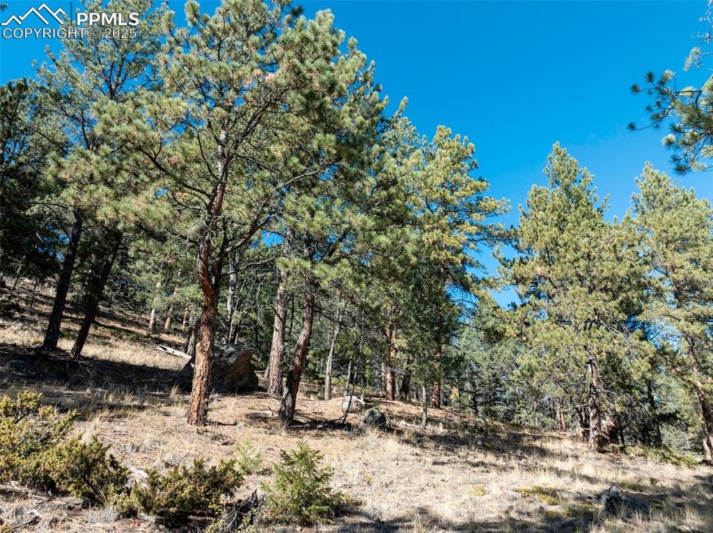 205 Stonehenge Drive Florissant CO 80816