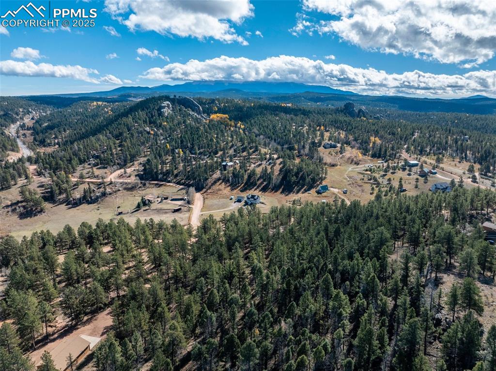 205 Stonehenge Drive Florissant CO 80816