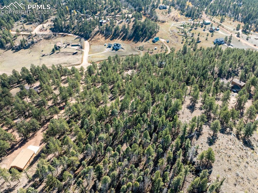 205 Stonehenge Drive Florissant CO 80816
