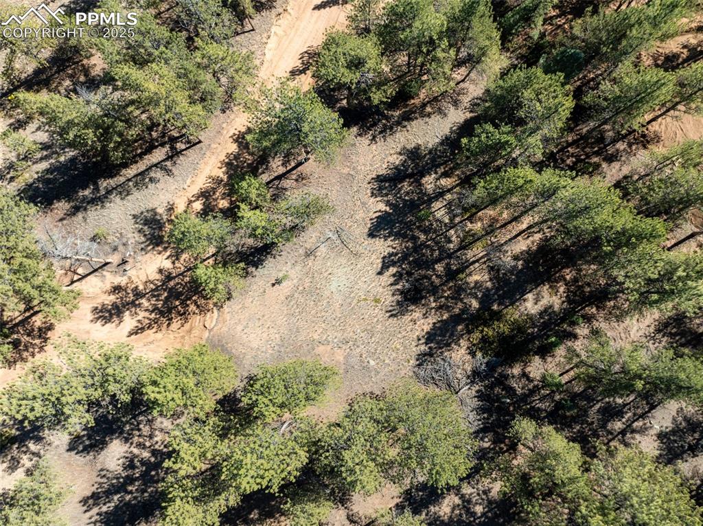 205 Stonehenge Drive Florissant CO 80816
