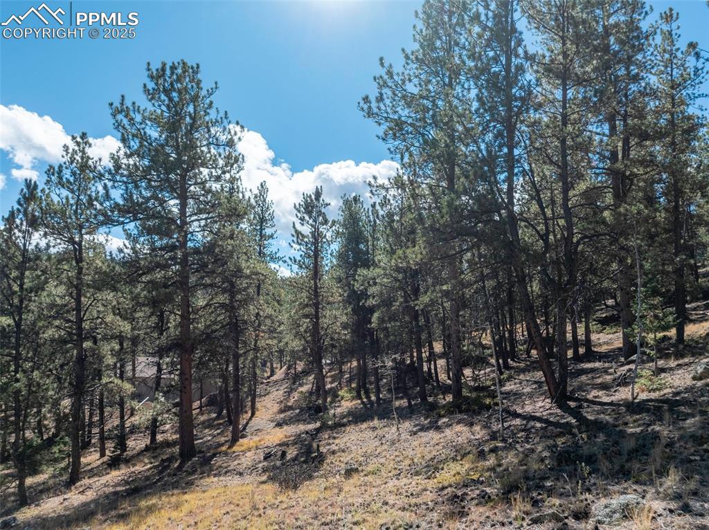 205 Stonehenge Drive Florissant CO 80816