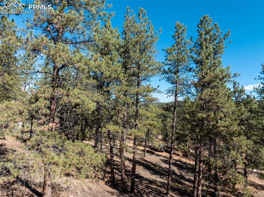 205 Stonehenge Drive Florissant CO 80816
