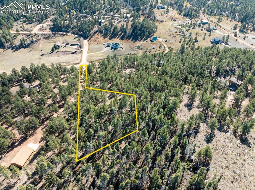 205 Stonehenge Drive Florissant CO 80816