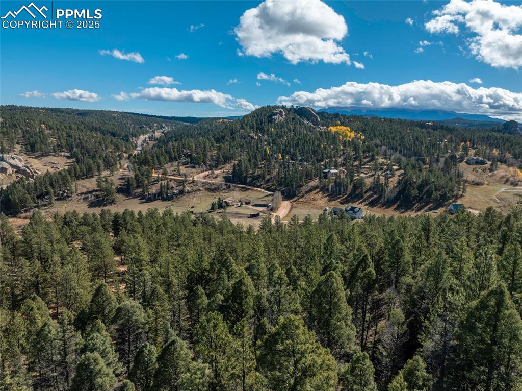 205 Stonehenge Drive Florissant CO 80816