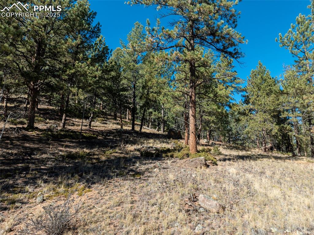 205 Stonehenge Drive Florissant CO 80816