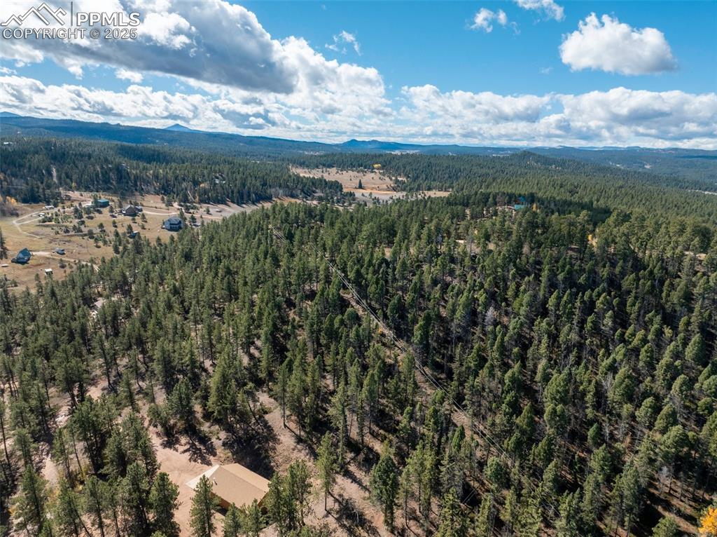 205 Stonehenge Drive Florissant CO 80816