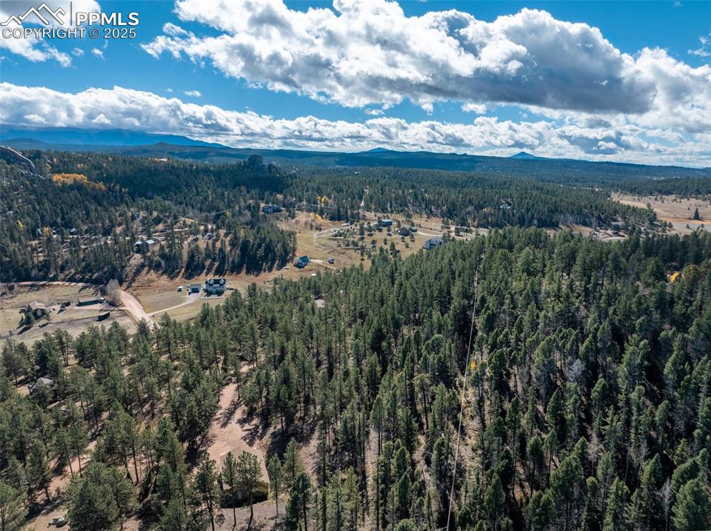 205 Stonehenge Drive Florissant CO 80816