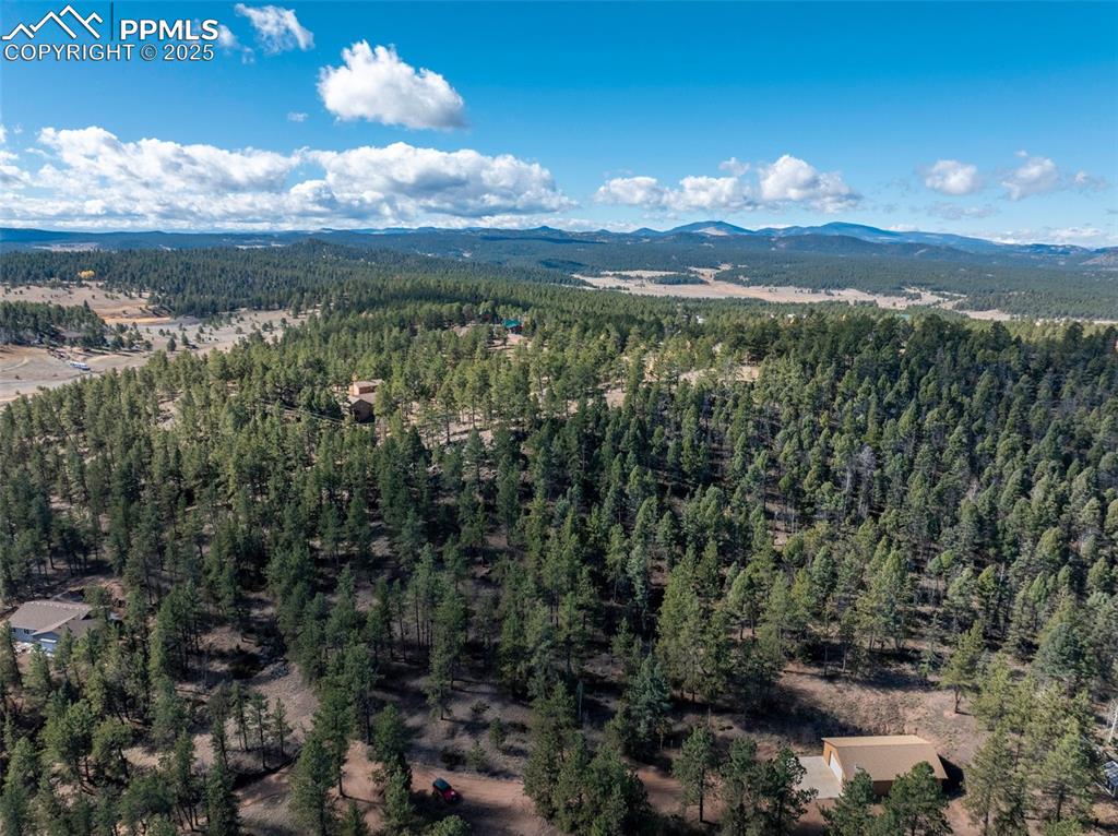 205 Stonehenge Drive Florissant CO 80816