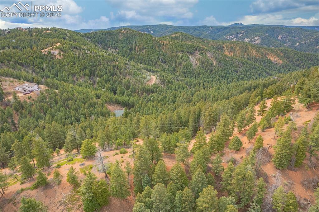 13464 Deer Ridge Way Larkspur CO 80118