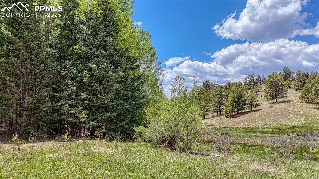 Lot 60 Monarch Drive Cripple Creek CO 80813
