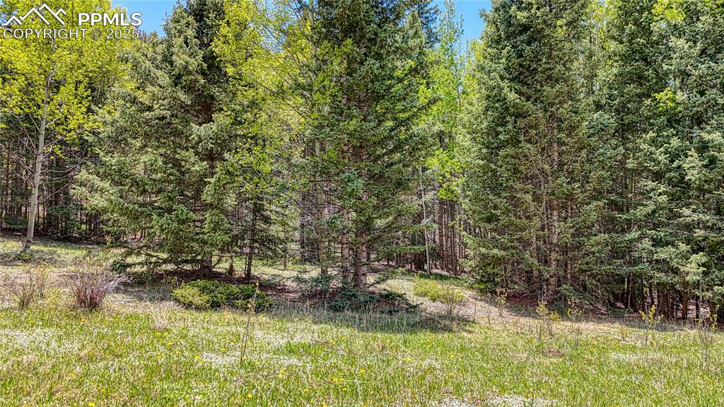 Lot 60 Monarch Drive Cripple Creek CO 80813