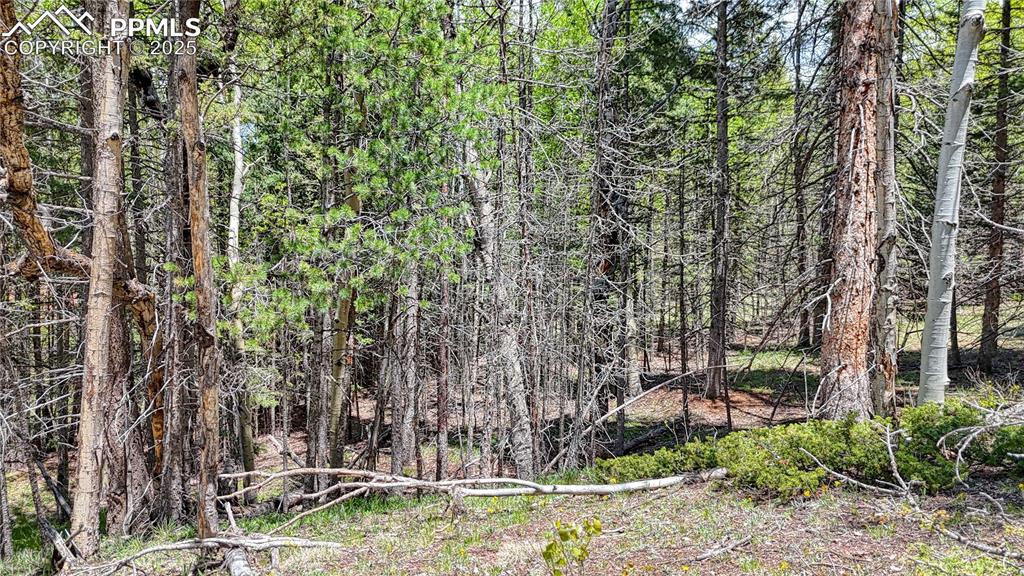Lot 60 Monarch Drive Cripple Creek CO 80813