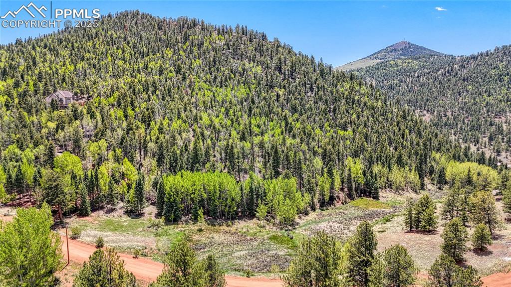 Lot 60 Monarch Drive Cripple Creek CO 80813