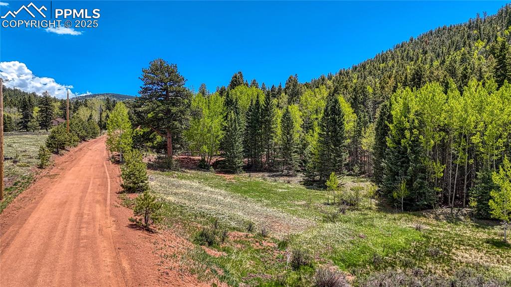 Lot 60 Monarch Drive Cripple Creek CO 80813