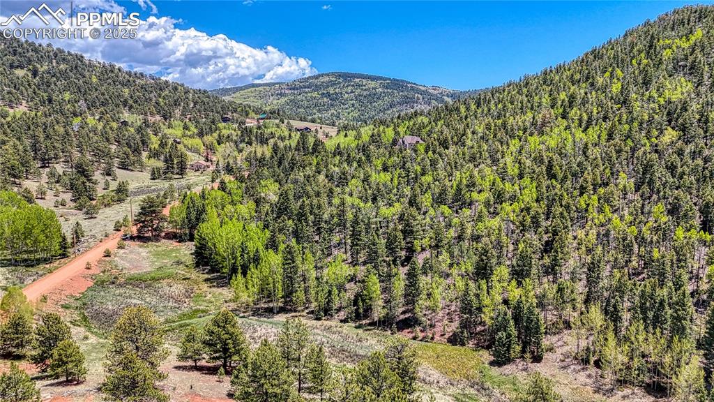 Lot 60 Monarch Drive Cripple Creek CO 80813