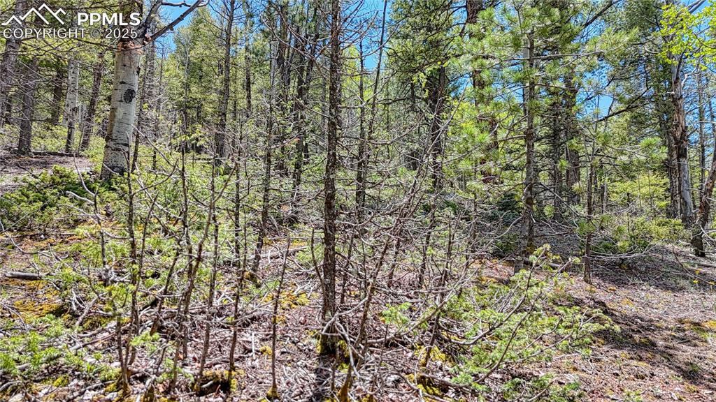 Lot 60 Monarch Drive Cripple Creek CO 80813