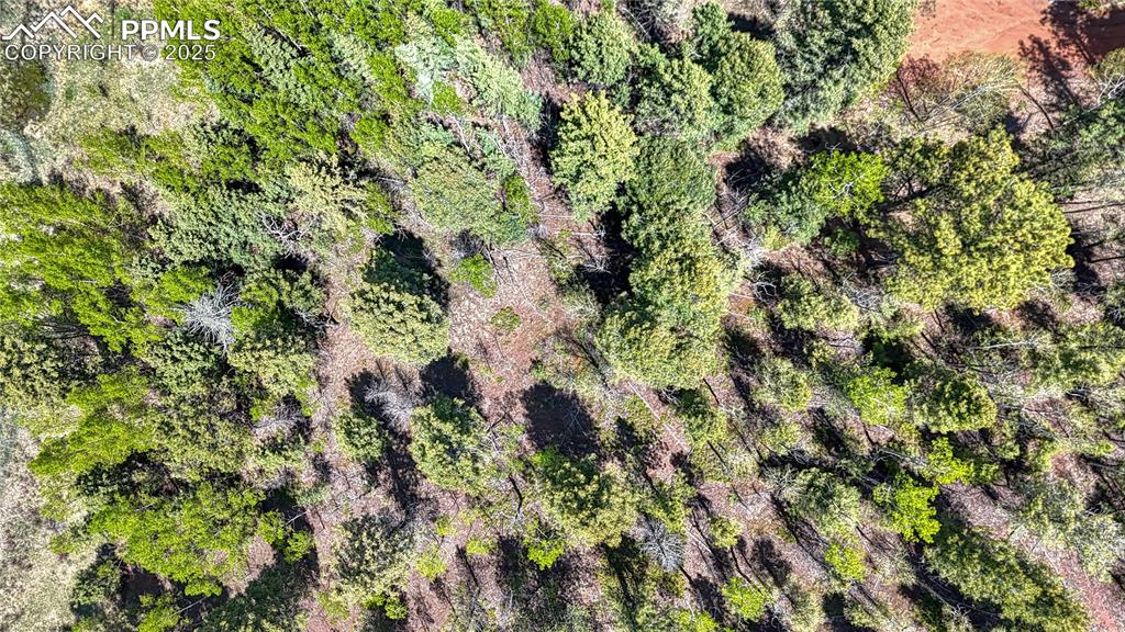 Lot 60 Monarch Drive Cripple Creek CO 80813