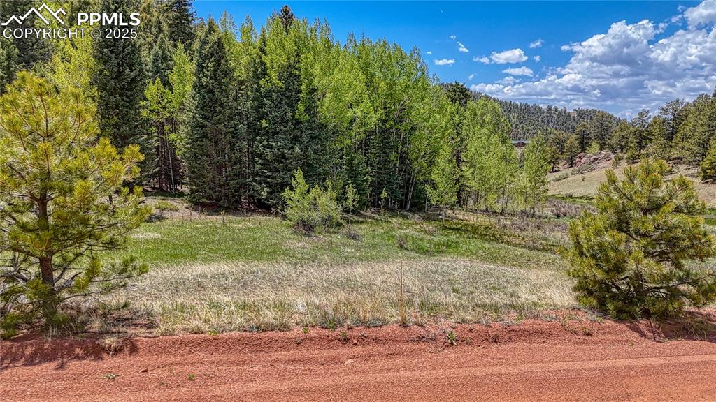 Lot 60 Monarch Drive Cripple Creek CO 80813