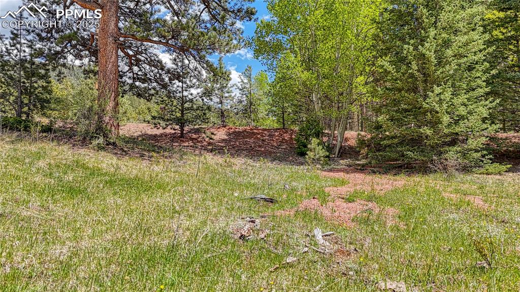 Lot 60 Monarch Drive Cripple Creek CO 80813