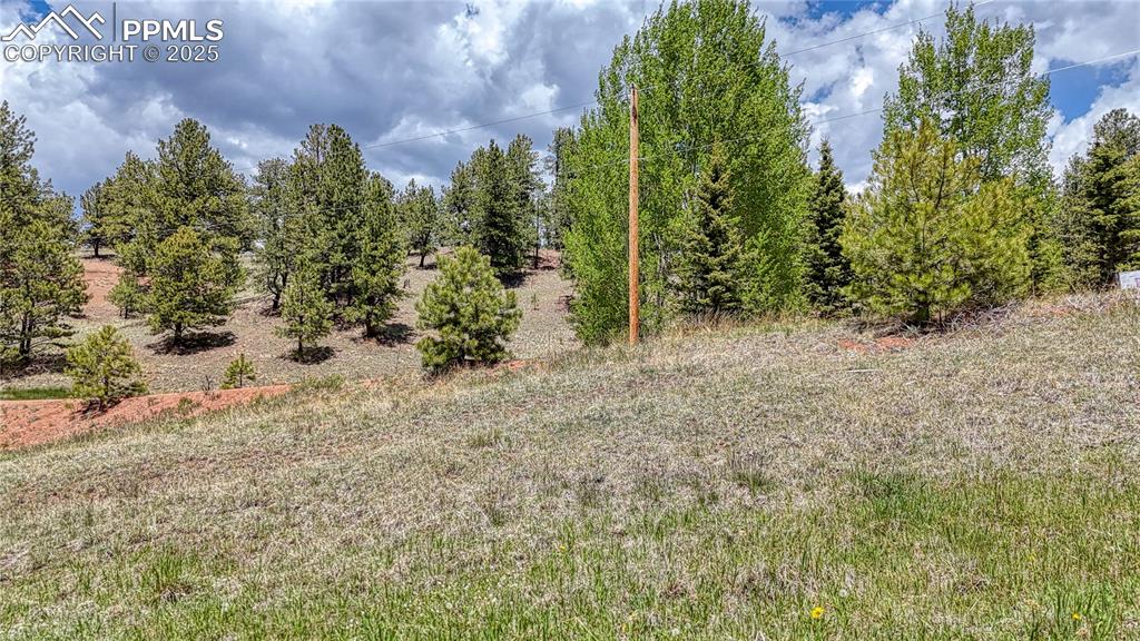 Lot 60 Monarch Drive Cripple Creek CO 80813
