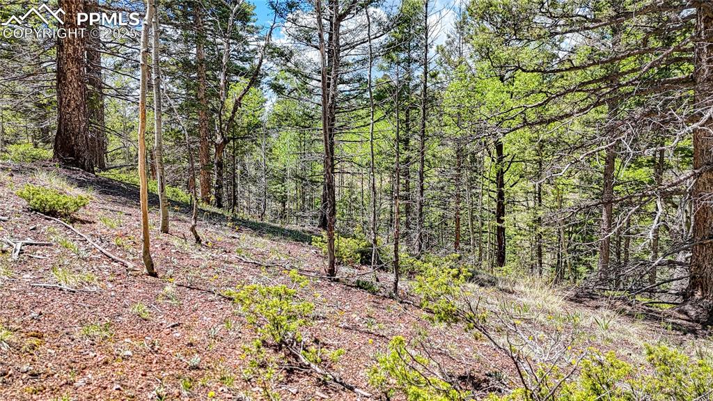 Lot 60 Monarch Drive Cripple Creek CO 80813