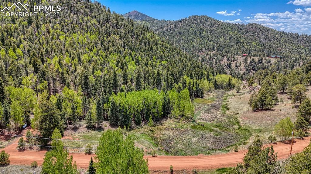 Lot 60 Monarch Drive Cripple Creek CO 80813