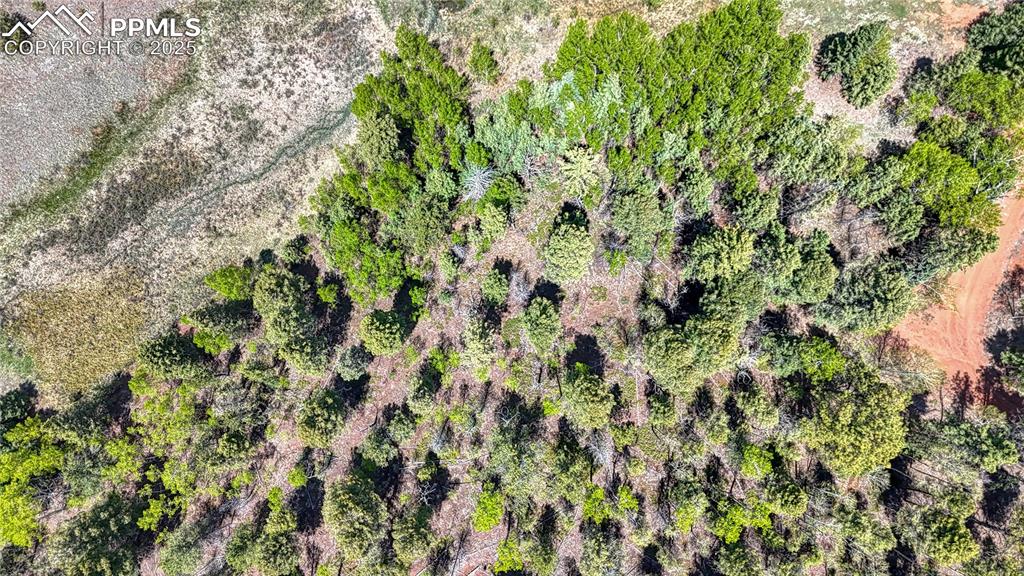 Lot 60 Monarch Drive Cripple Creek CO 80813