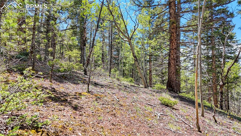 Lot 60 Monarch Drive Cripple Creek CO 80813