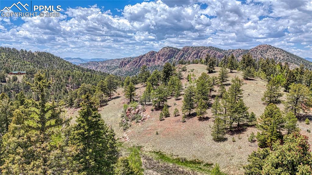 Lot 60 Monarch Drive Cripple Creek CO 80813