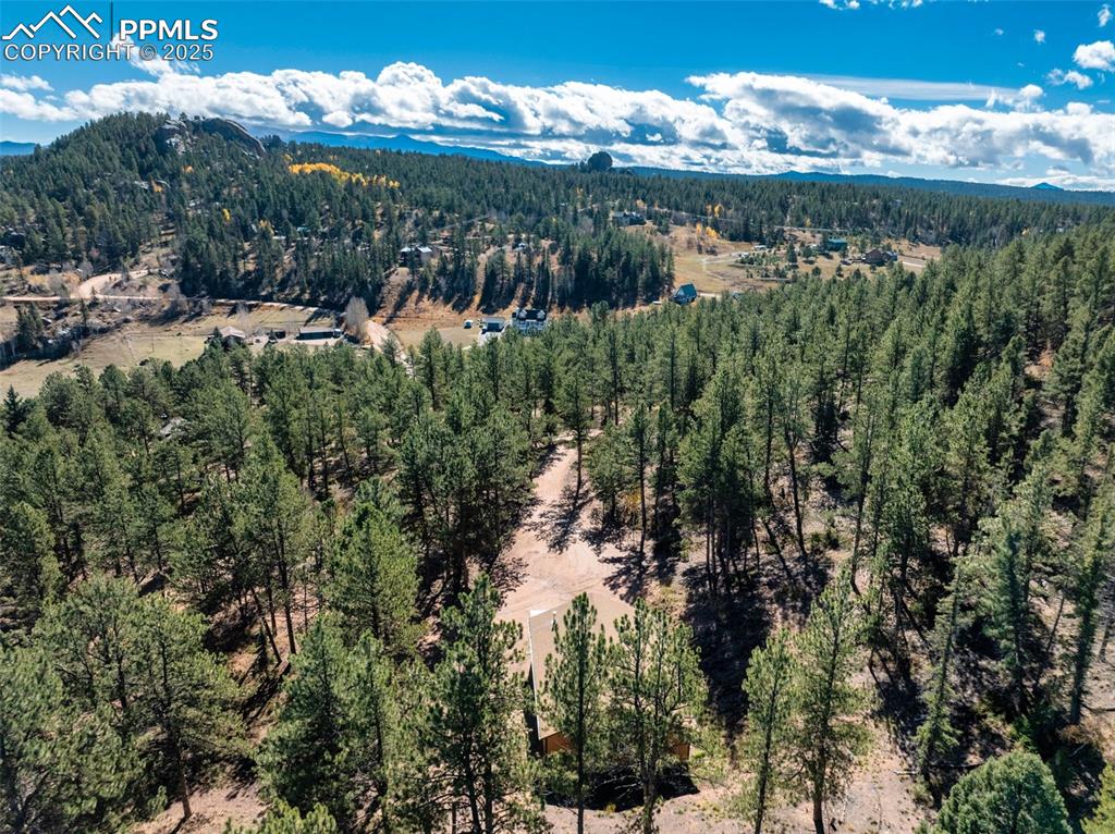 209 Stonehenge Drive Florissant CO 80816