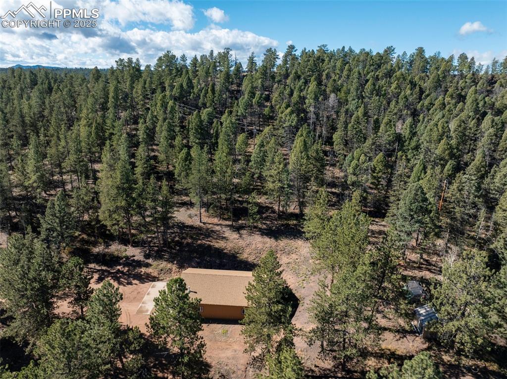 209 Stonehenge Drive Florissant CO 80816
