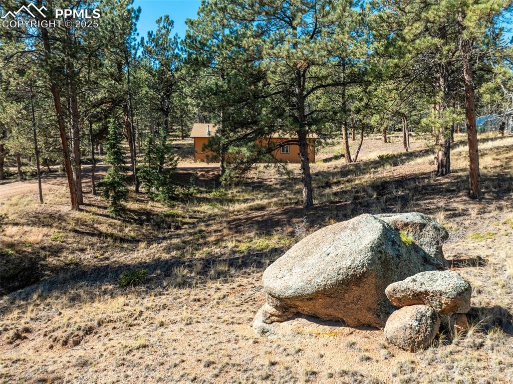 209 Stonehenge Drive Florissant CO 80816