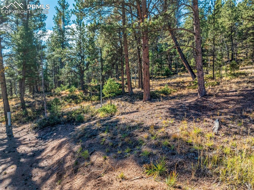 209 Stonehenge Drive Florissant CO 80816