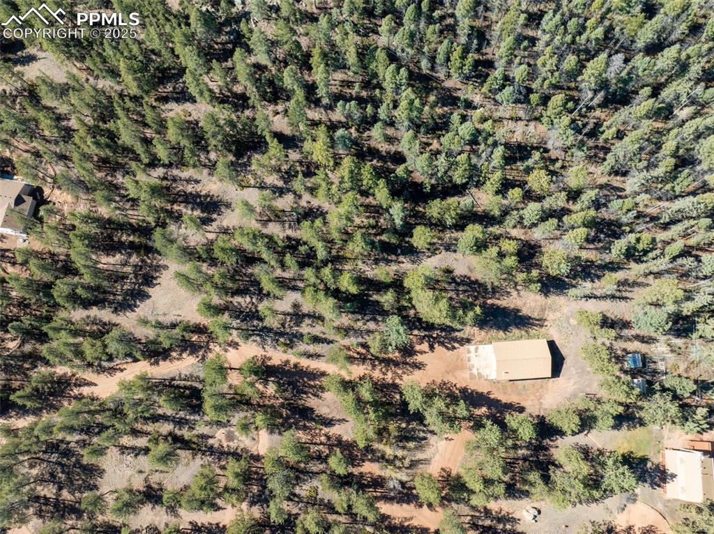 209 Stonehenge Drive Florissant CO 80816