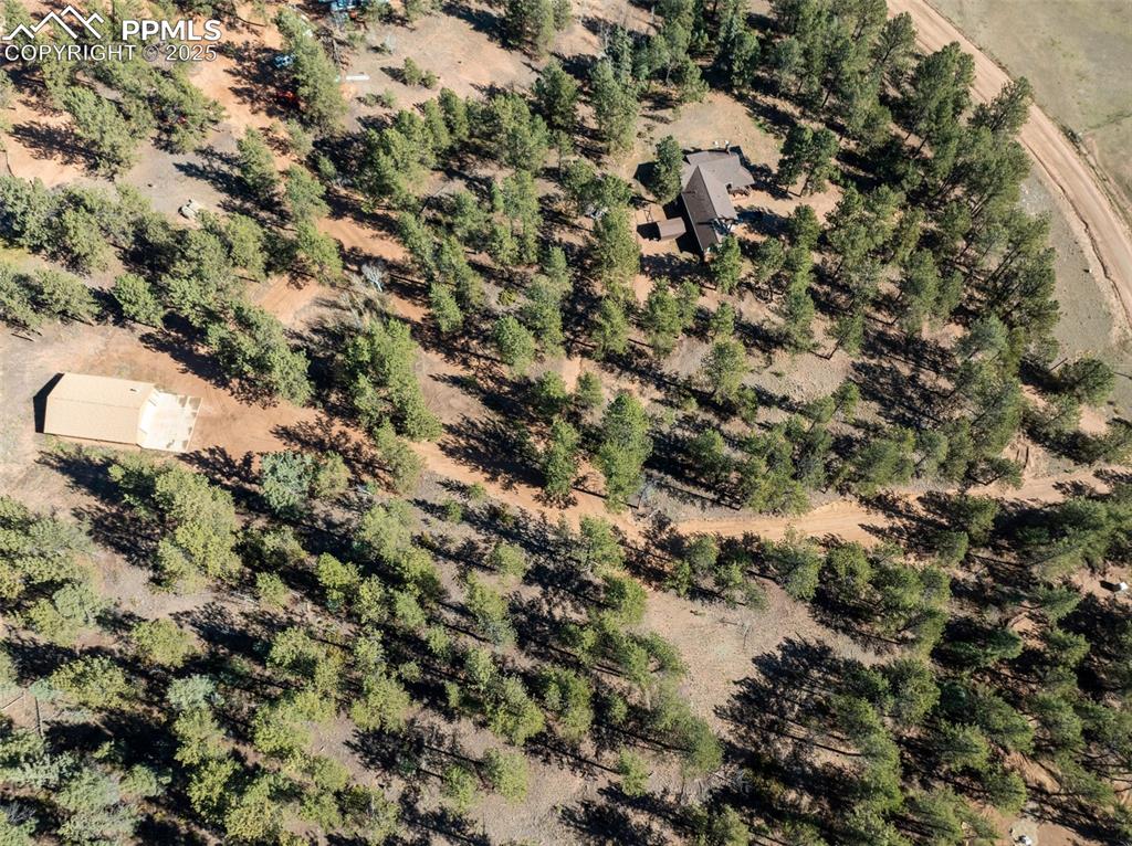209 Stonehenge Drive Florissant CO 80816