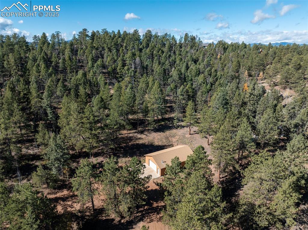 209 Stonehenge Drive Florissant CO 80816