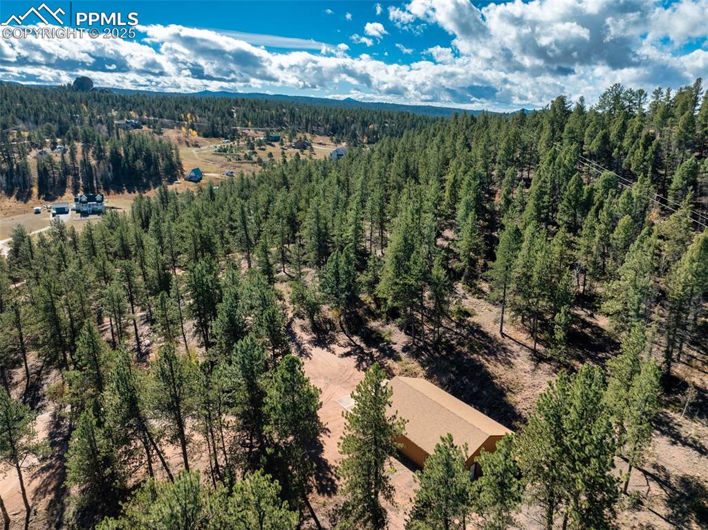209 Stonehenge Drive Florissant CO 80816